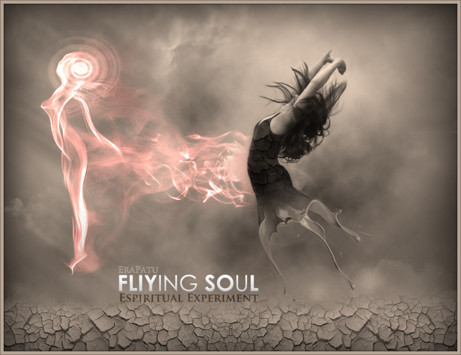 flying_soul_by_soiinicoho-d3emz5j