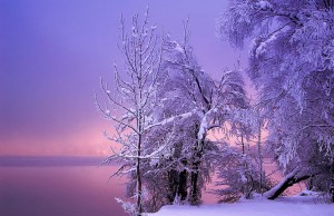 Gorgeous-Winter-Landscapes-6 (1)