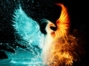 phoenix-bird