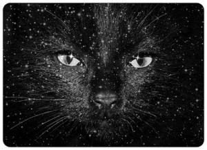 cosmic cat 03