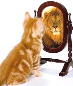 self-esteem-cat-lion