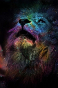 galaxy-lion-lions-rainbow-Favim.com-1032344