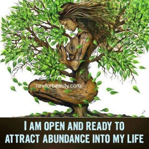 i-attract-abundance-into-my-life