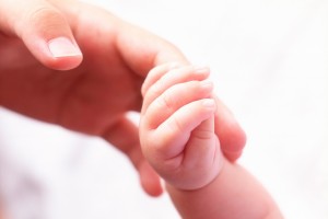 Close-up-of-baby-holding-mothers-finger-1559164