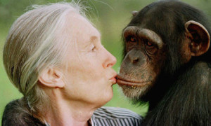 Funny Monkey Kissing_3