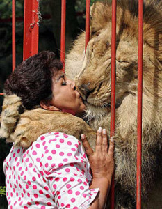 animal-fun-women-tiger-lion