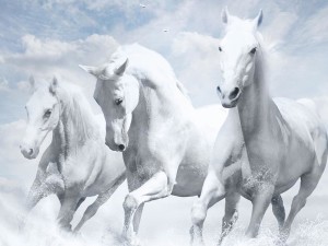 White-Horses-wallpaper