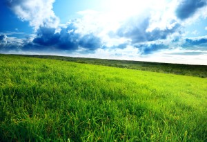 green-field-cloudy-sky