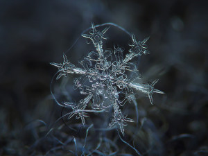 snowcrystal10