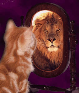 cat-sees-lion-in-mirror-
