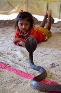 Child Snake Charmers of India 11