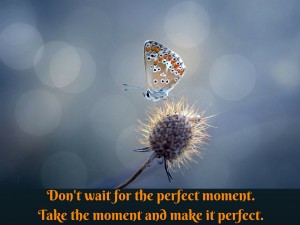 Don't wait for the perfect moment. Take the moment and make it perfect. (1)