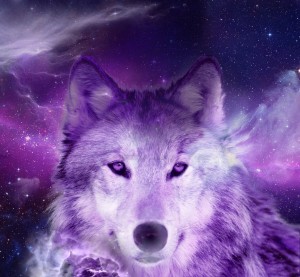 cosmic_wolf_by_vivianethais-d7hpwnb