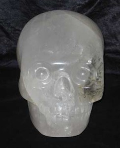 Max-the-Crystal-Skull