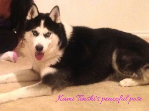 Kami Tenshi's peaceful pose (1)