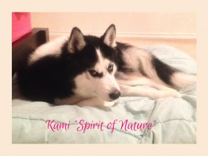 Kami -Spirit of Nature-