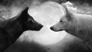 Wolf-and-Moon-Cool-HD-Wallpapers